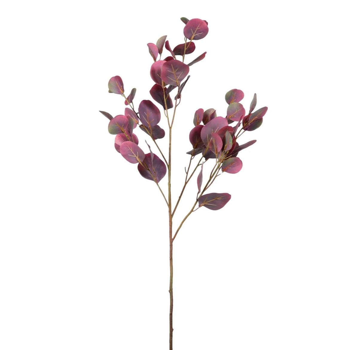 Eucalyptus Spray Magenta - 6pcs