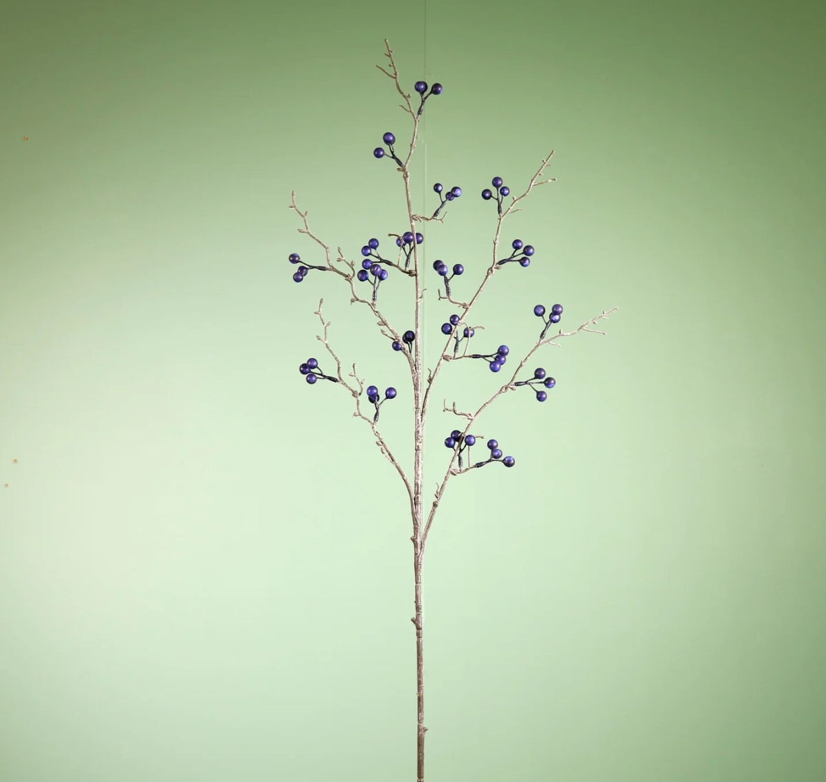 Berry Spray Blueberry - 6pcs
