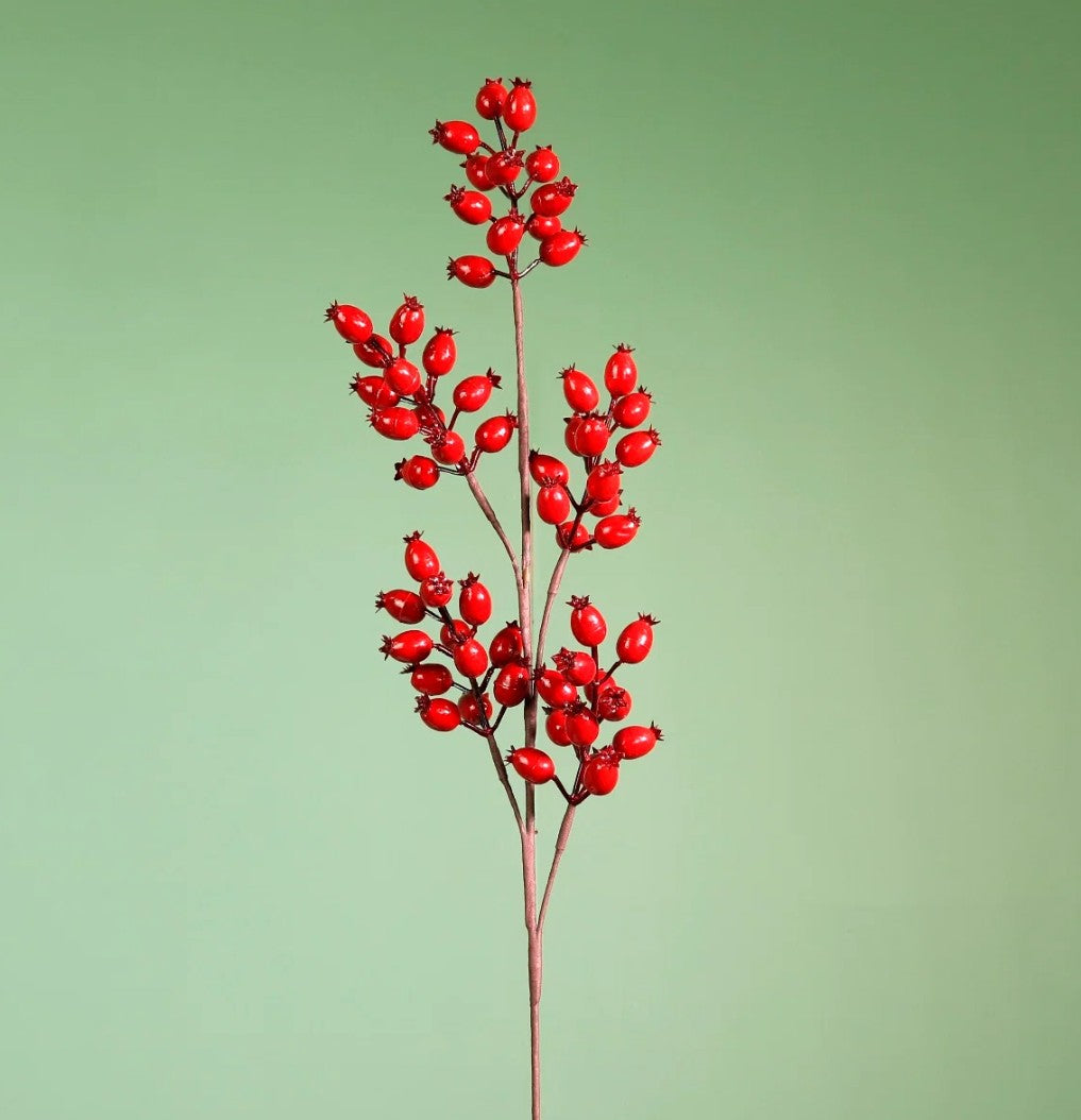 Berry Pic Red - 6pcs