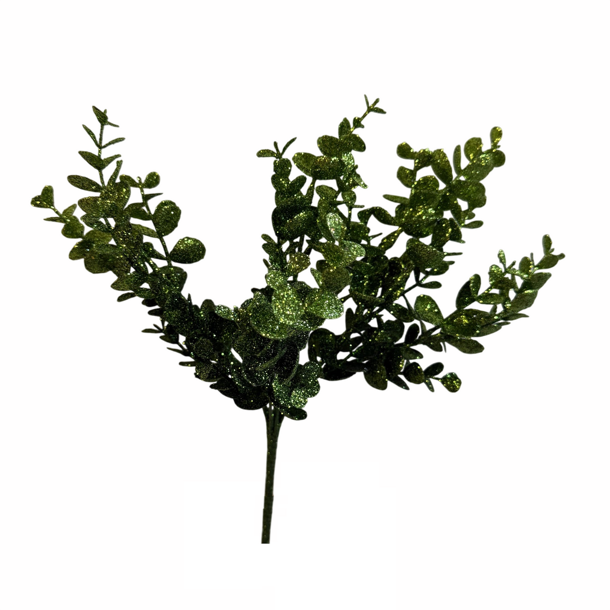 Green Eucalyptus Bunch- Pack of 10