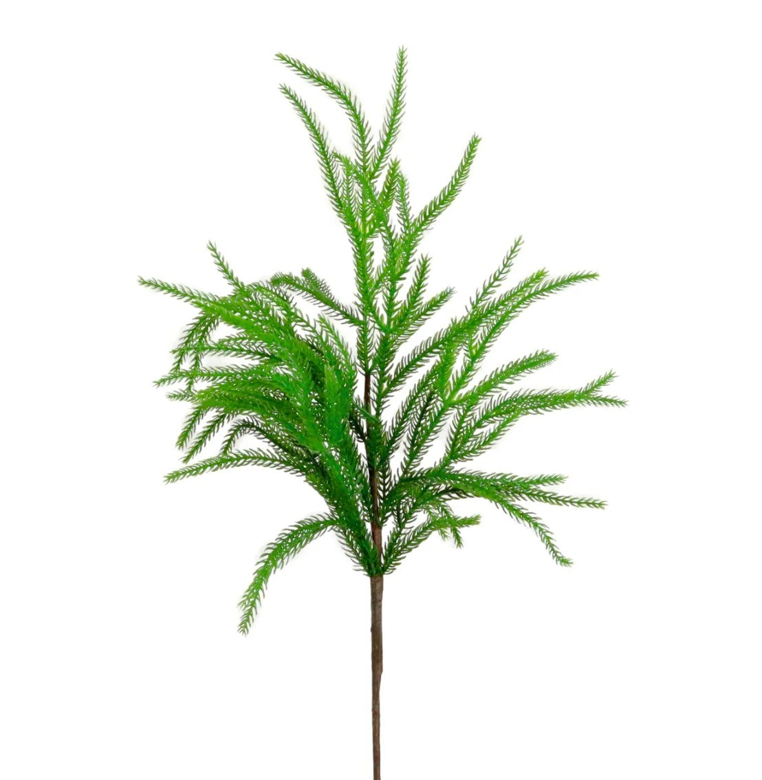 Real touch weeping Norfolk Pine - 6pcs