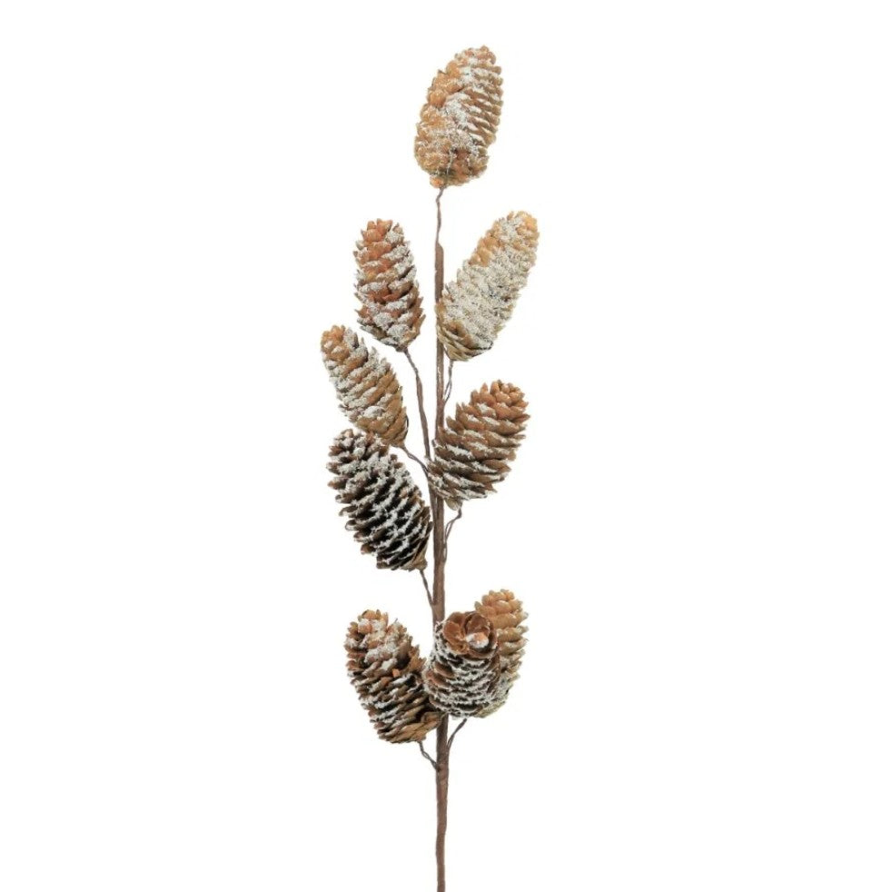 Brown Snowdrift Cone Pic - Pack of 6