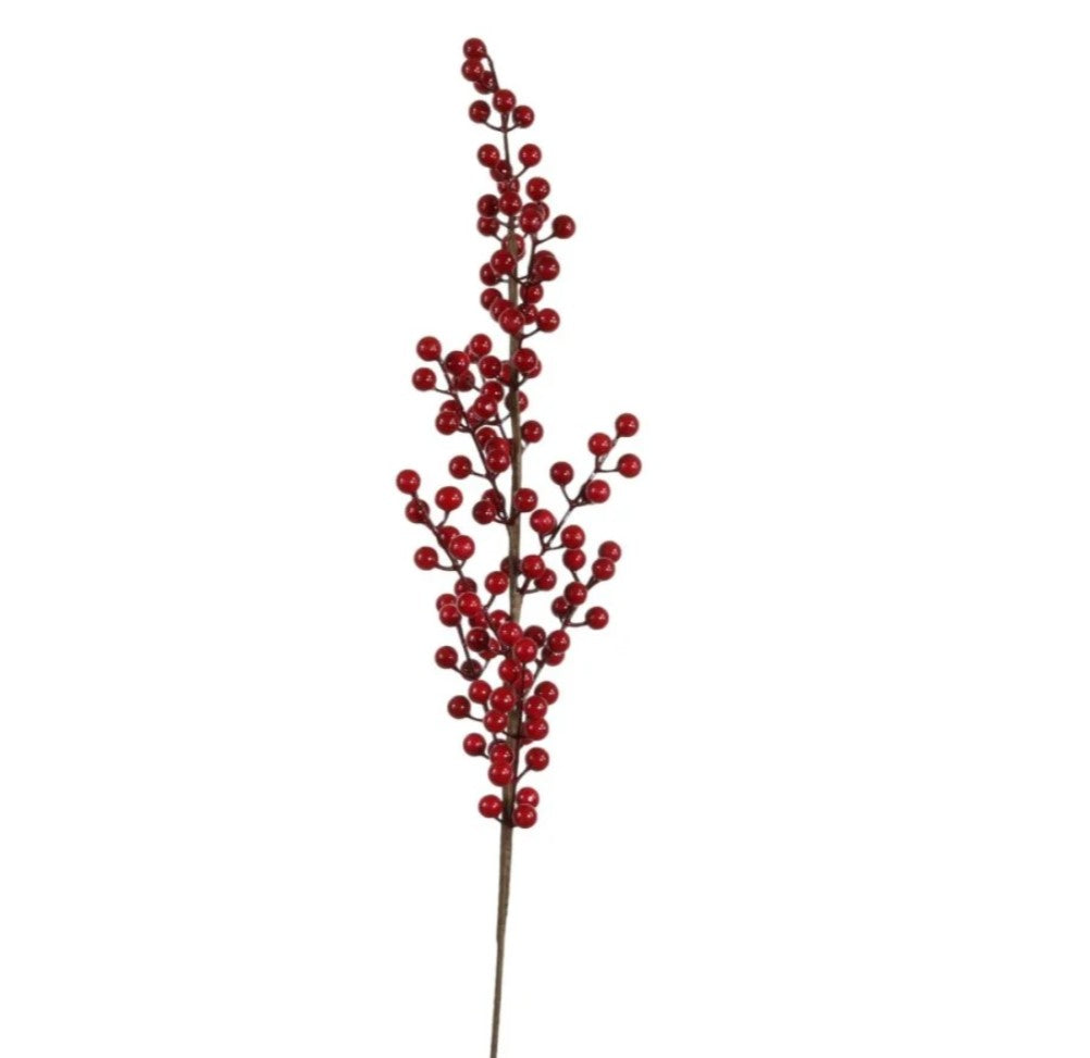 Berry Pic Red - 12pcs
