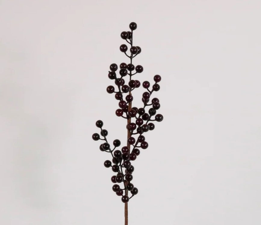 Berry Pic Grape - 6pcs