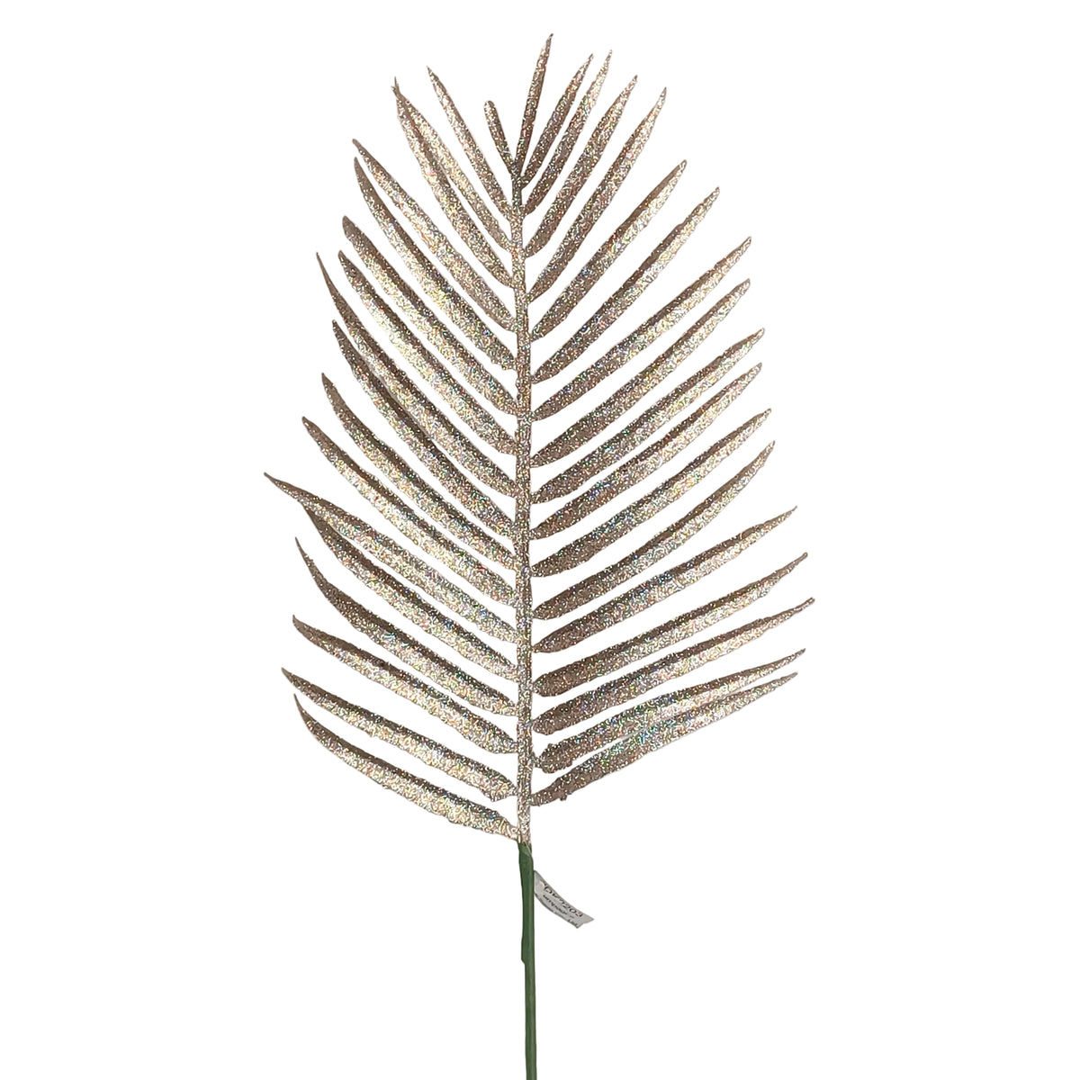 14Inch Champagne Palm Leaf - Pack of 10
