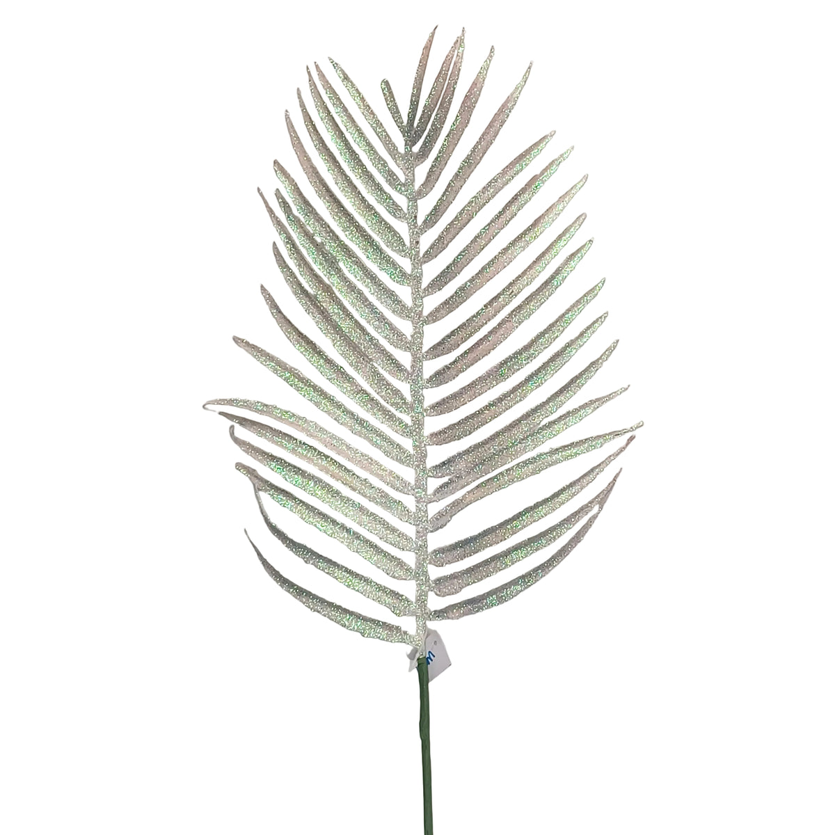 14Inch White Palm Leaf - Pack of 10
