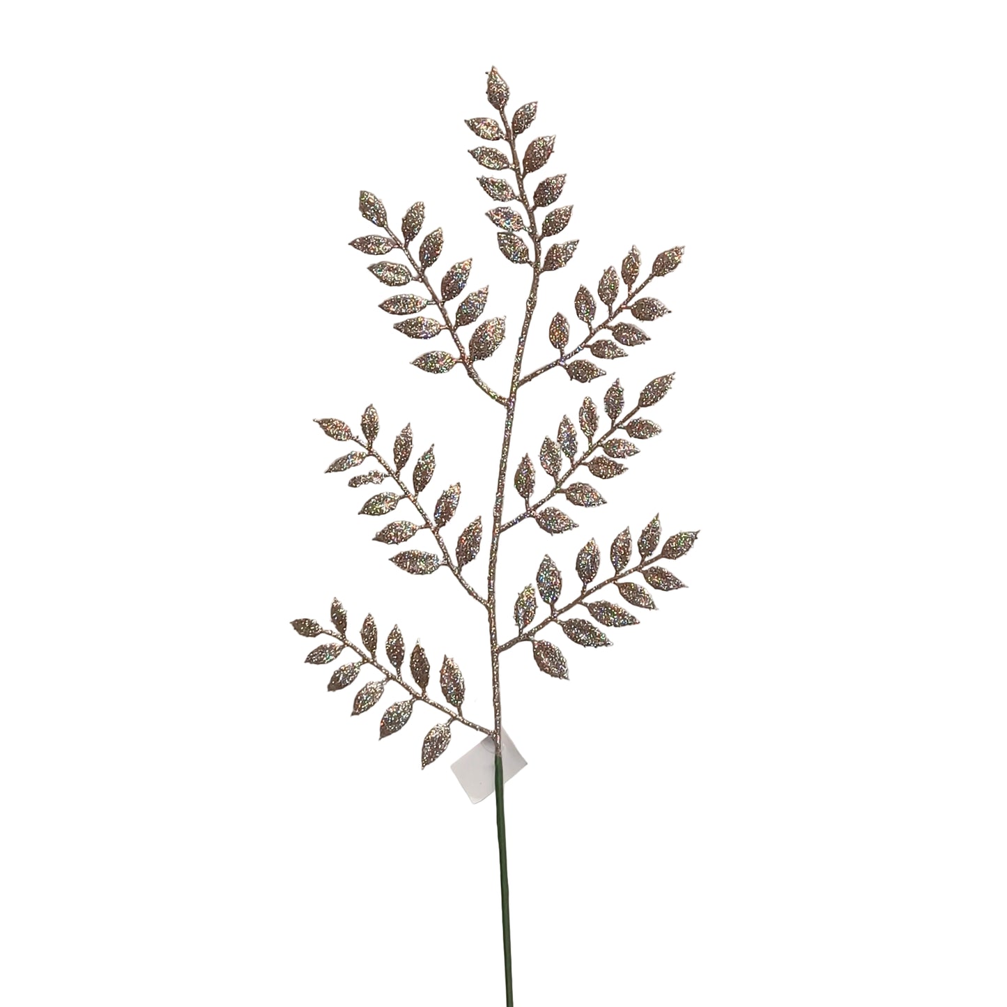 12Inch Champagne Ruscus Spray - Pack of 10