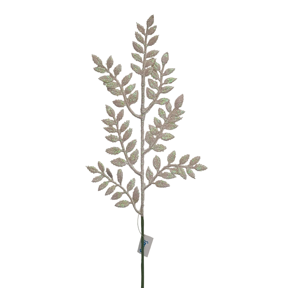 12Inch White Ruscus Spray - Pack of 10