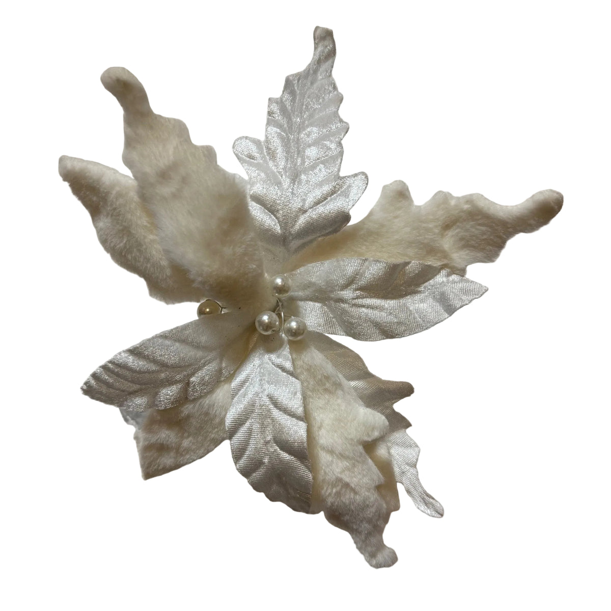 White fluffy Poinsettia on a clip - Pack of 10