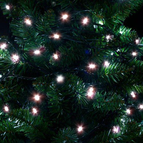 24v Battery Lights - 50 Warm-White LEDs (transformer/battery pack)