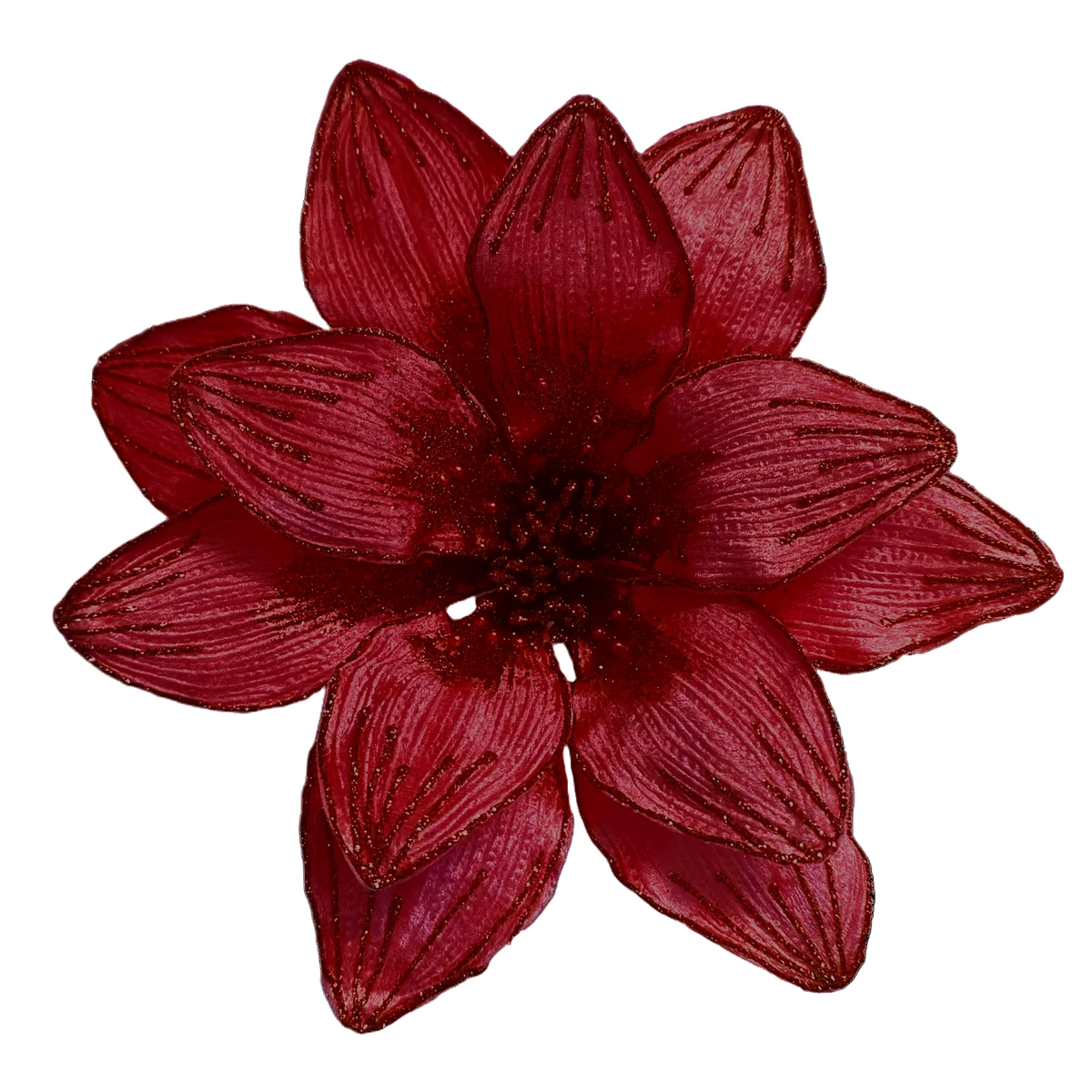 10Inch Red Amaryllis - Pack of 10