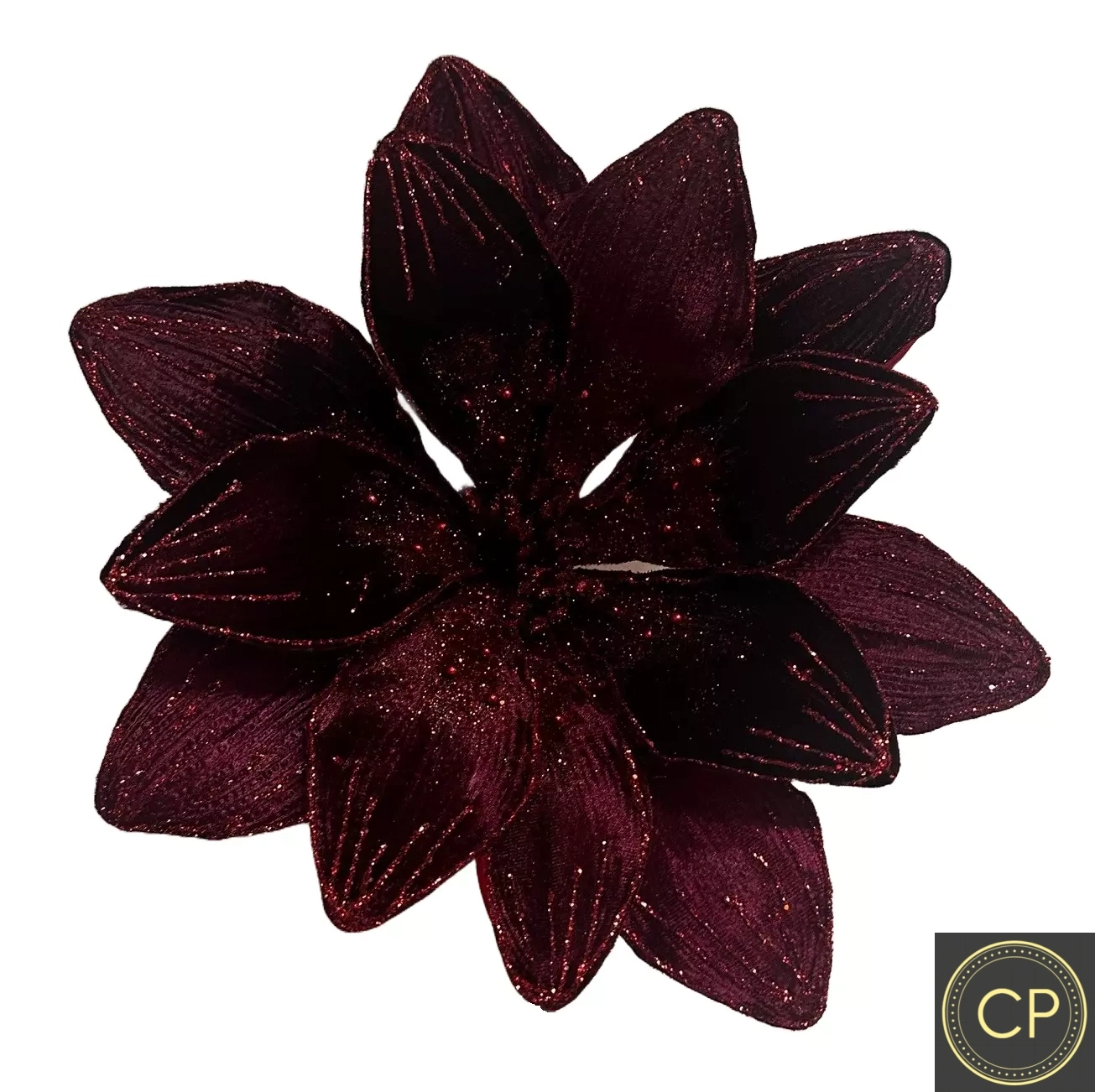 10Inch Dark Red Amaryllis - Pack of 10