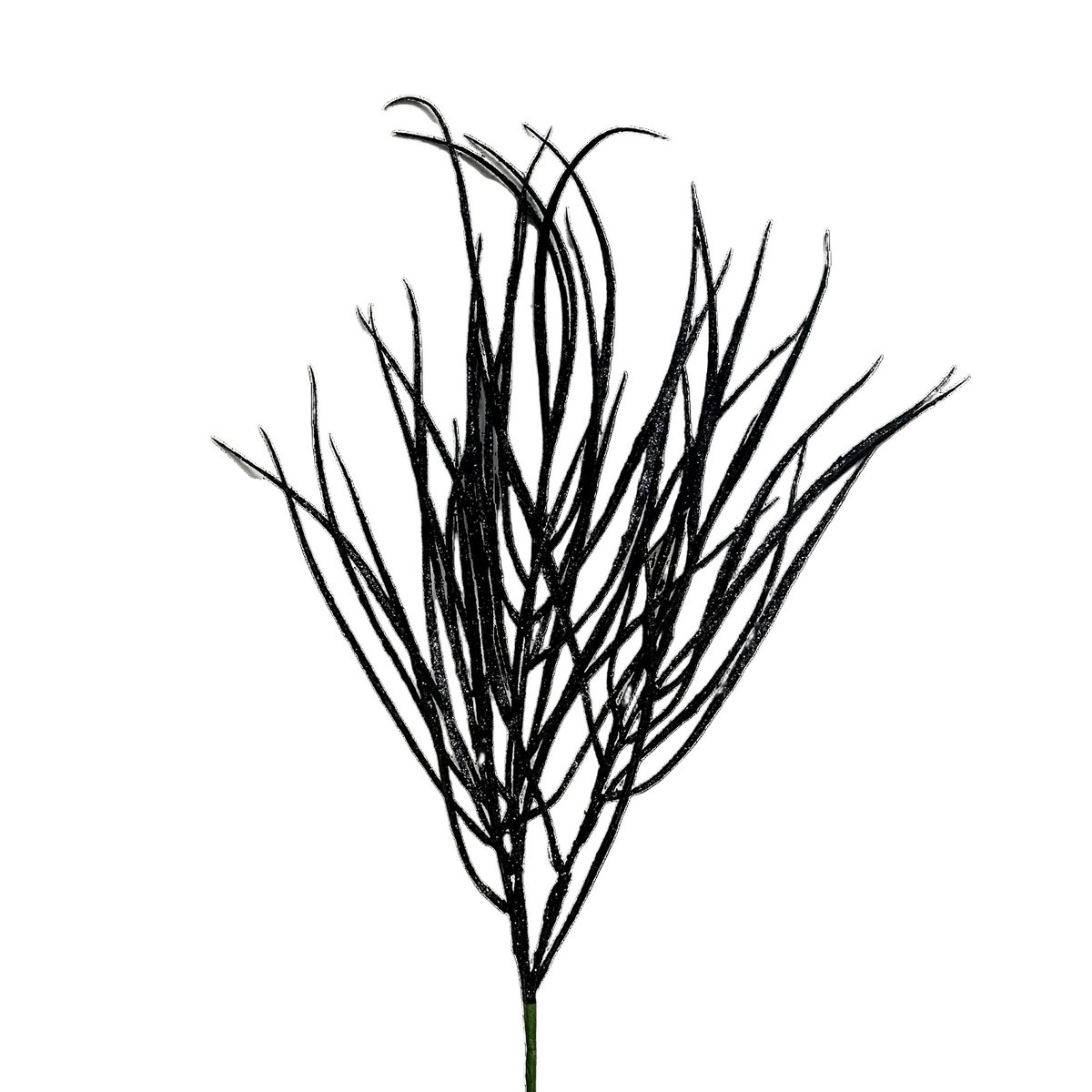 Black Grass Spray - Pack of 10