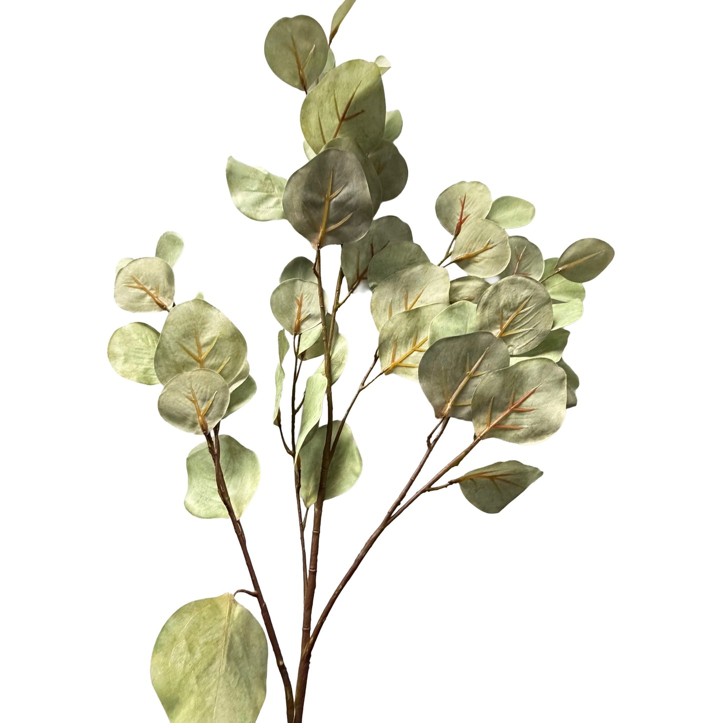 Eucalyptus Spray Green/Grey - 12pcs