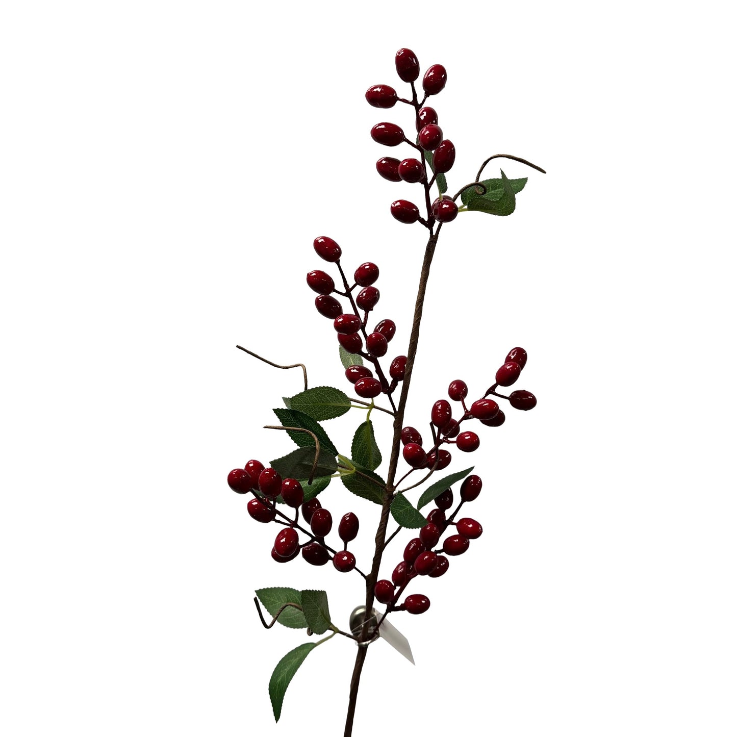 Red Rose Hips - 6pcs
