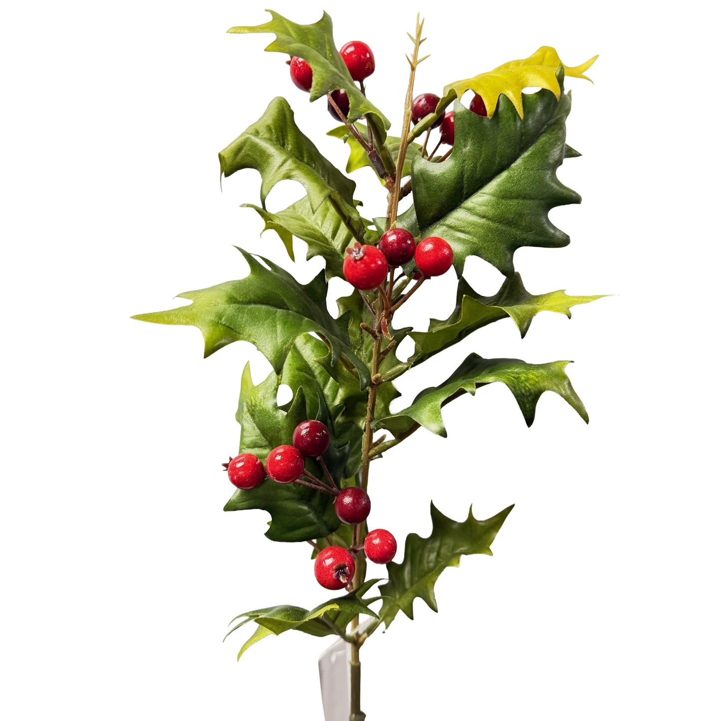Holly Red/Green - 6pcs