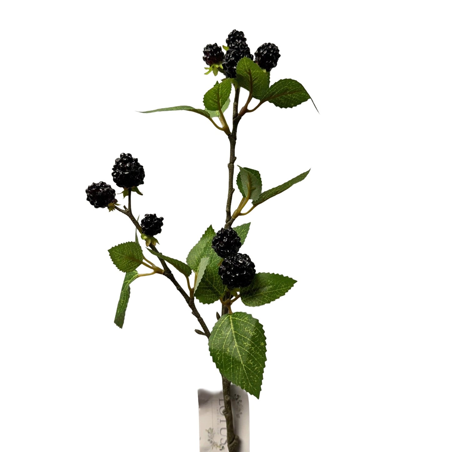 Blackberry on stem 64cm - 6pcs