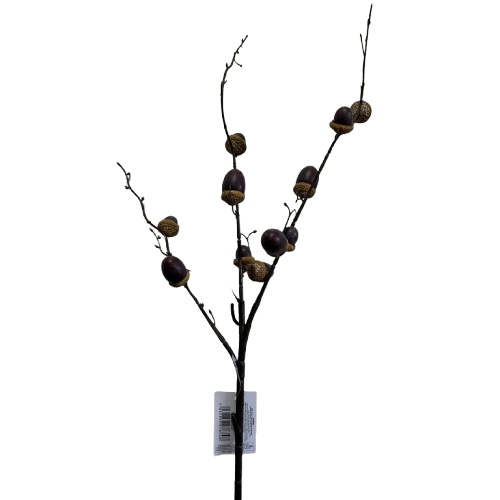 Acorn Spray Brown - Pack of 6
