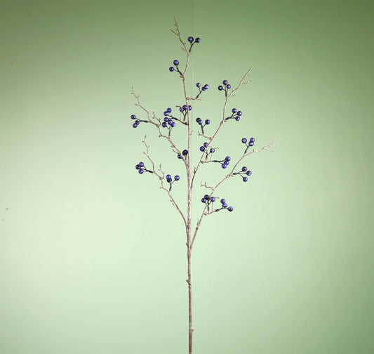Berry Spray Blueberry - 6pcs