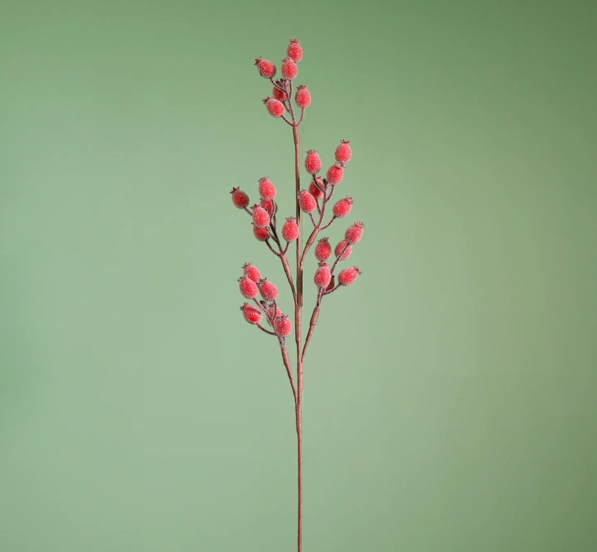 Berry Spray Red - 6pcs