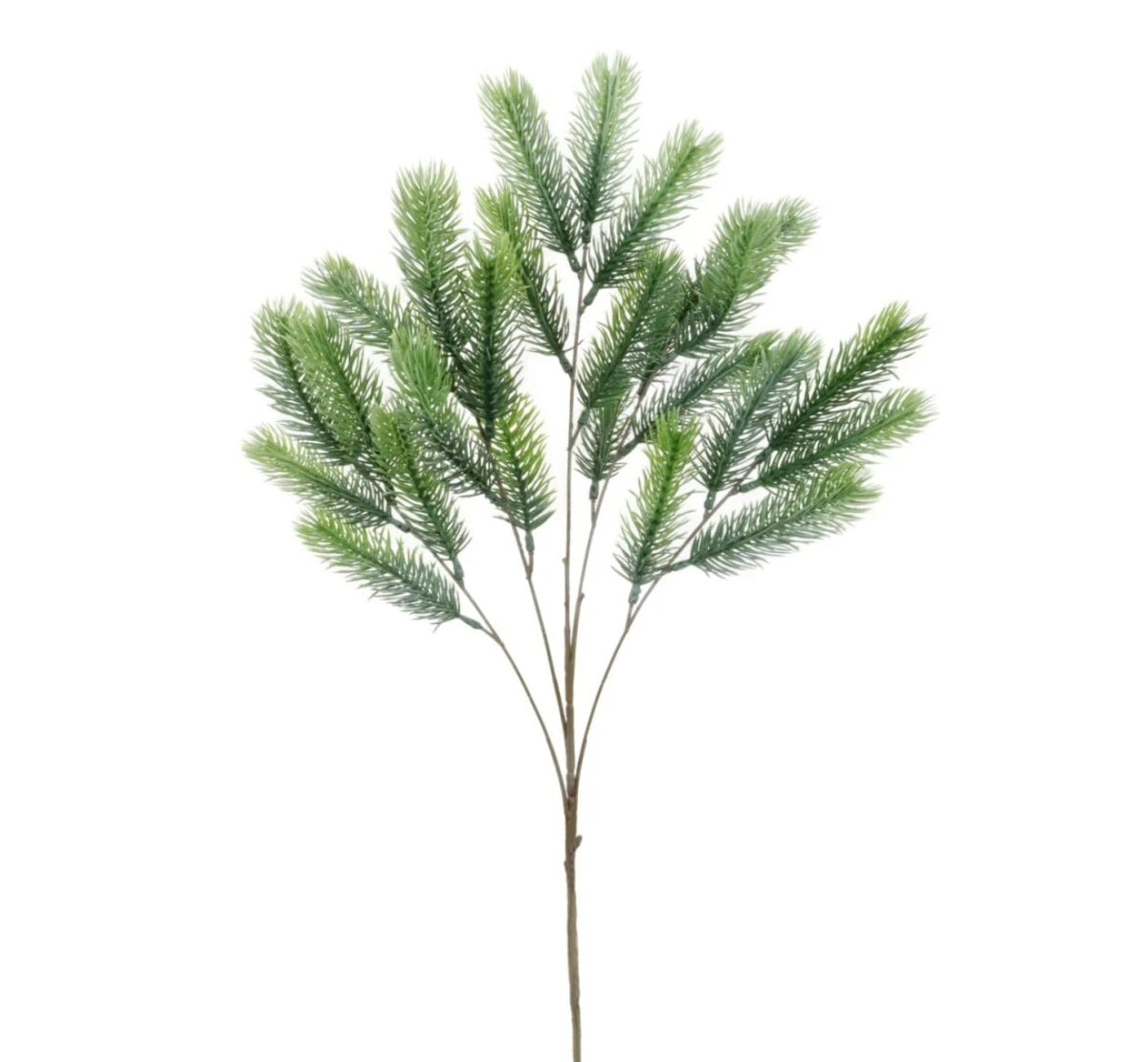 Spruce Branch - Green 1pc