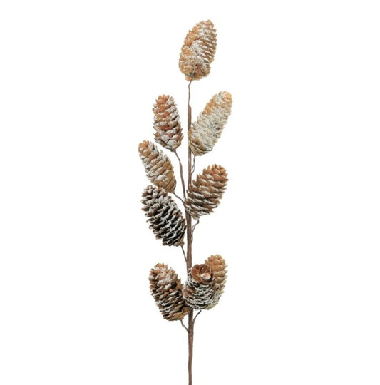 Brown Snowdrift Cone Pic - Pack of 6