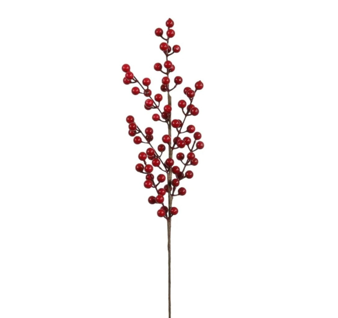Berry Pic Red - 12pcs