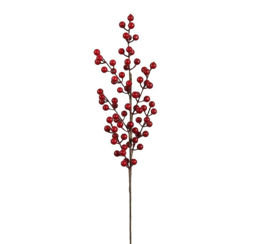 Berry Pic Red - 12pcs