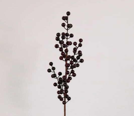 Berry Pic Grape - 6pcs