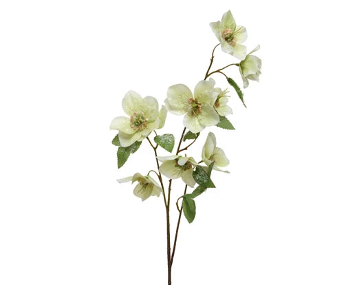 White Helleborus on stem with Snow Finish - Pack of 6