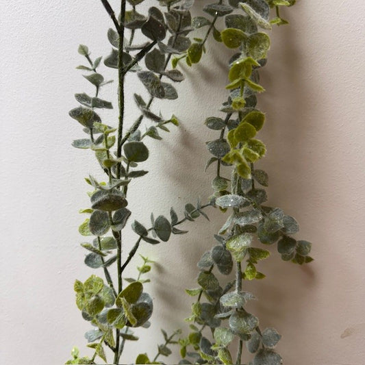 Frosted Eucalyptus Garland - Pack of 6