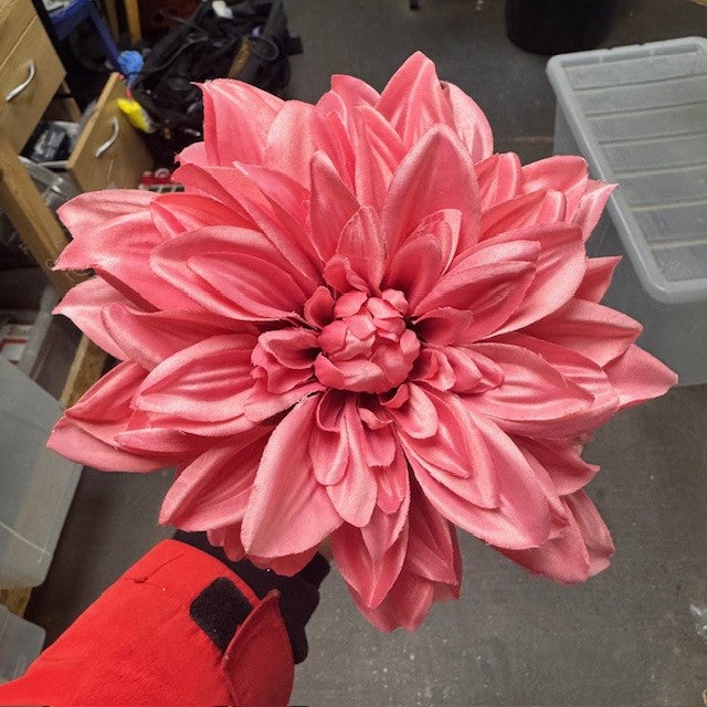 Pink Dahlia on a stem - Pack of 9