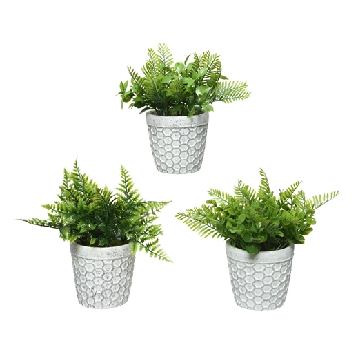 Plant Pot 3 Assorted Designs - 1pc