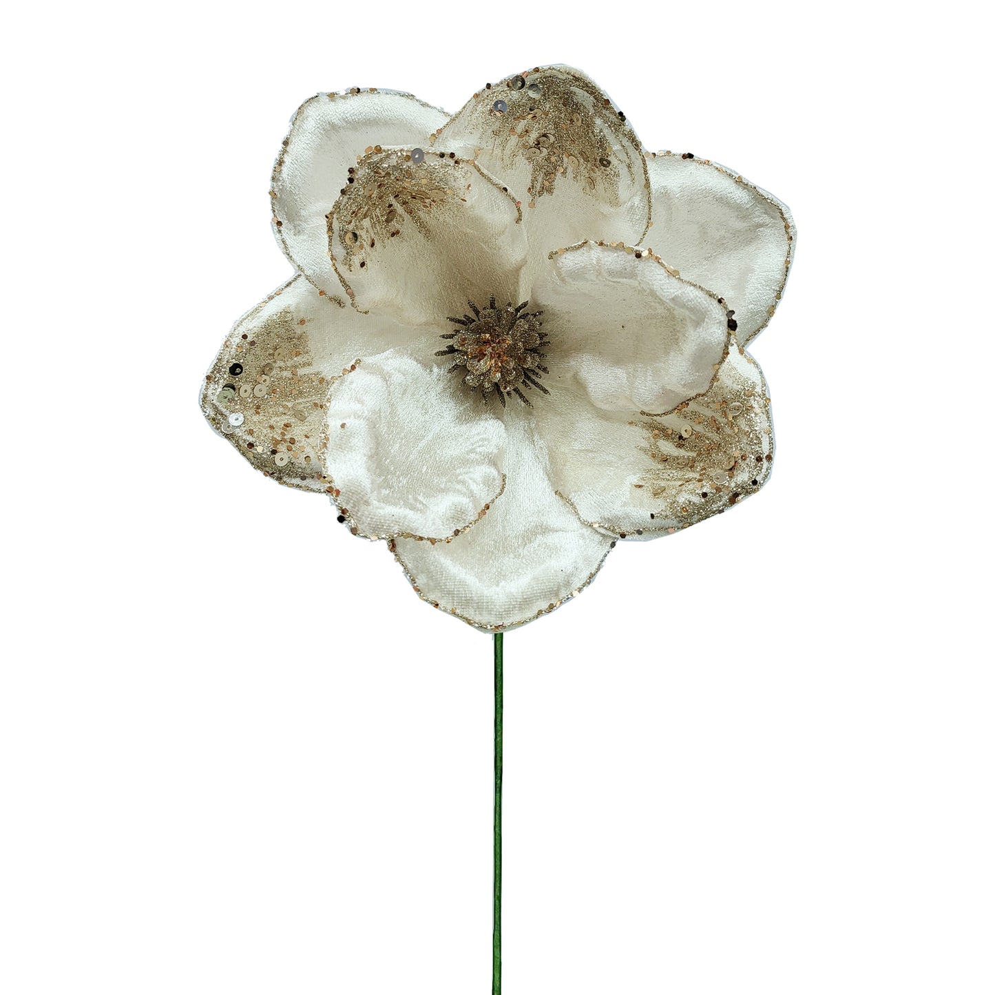 10Inch Champagne Magnolia - Pack of 10