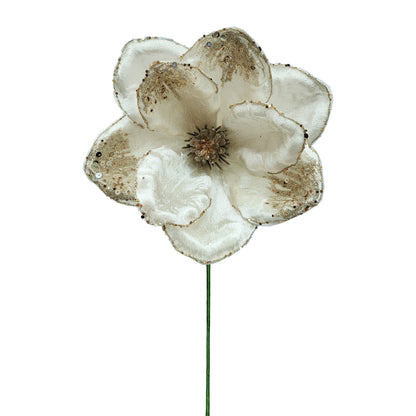 10Inch Champagne Magnolia - Pack of 10