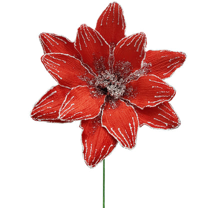 10Inch Red Amaryllis - Pack of 10