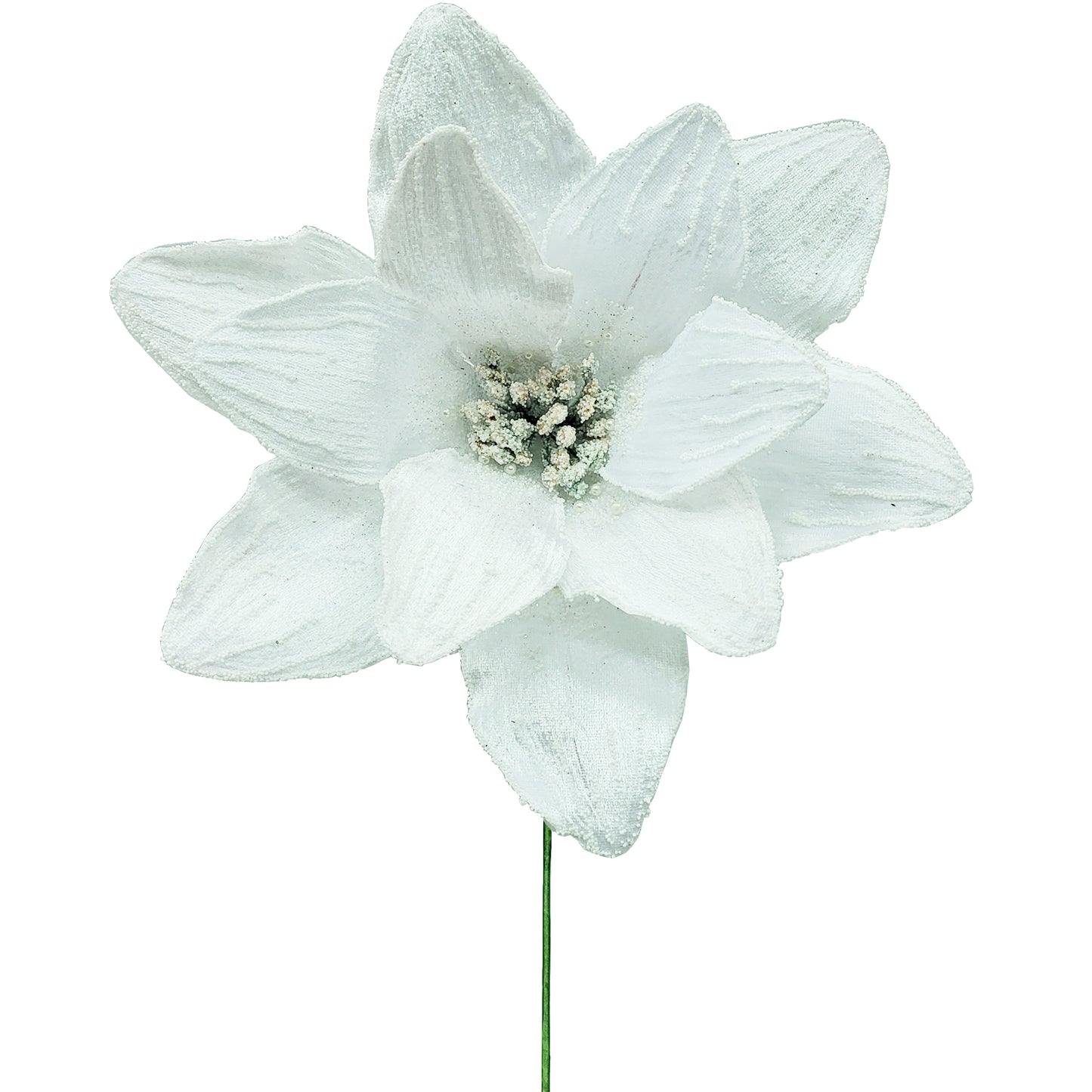 10Inch White Amaryllis - Pack of 10