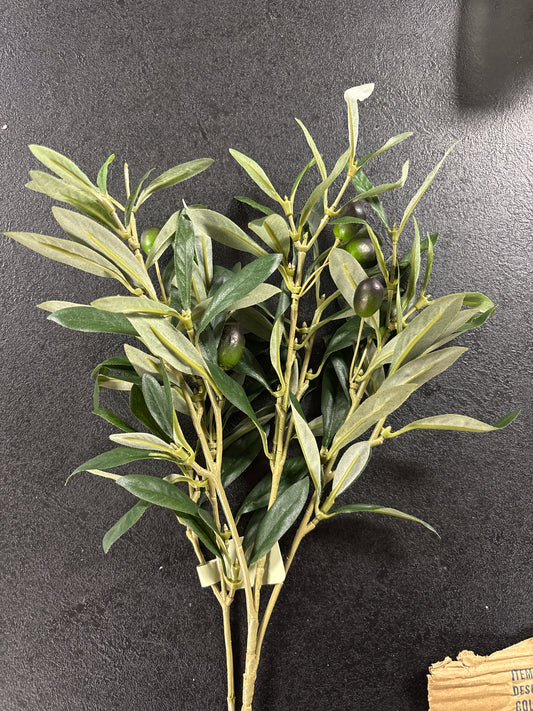 Green Olive Spray - 6pc