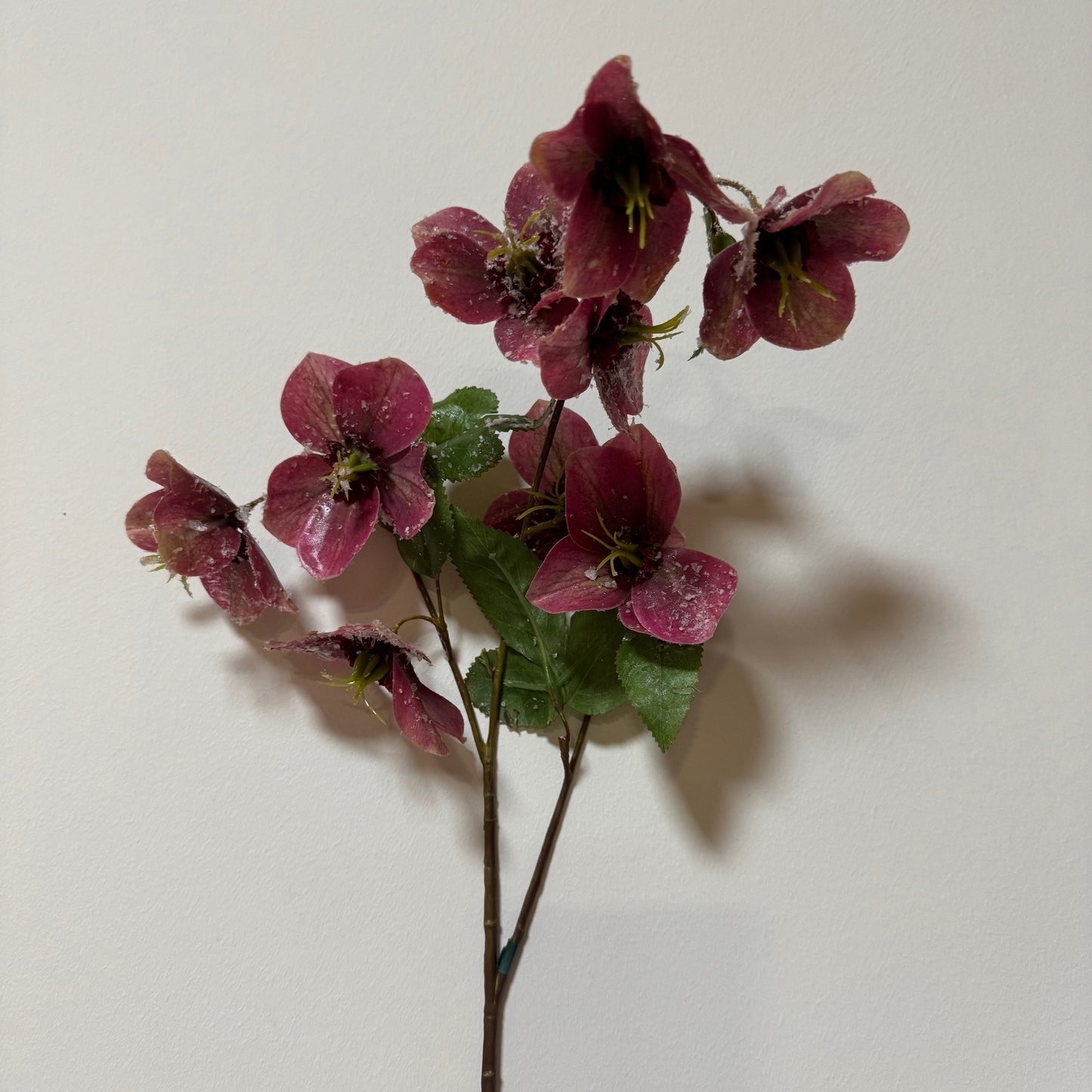 Christmas Rose - Pink - 10pcs