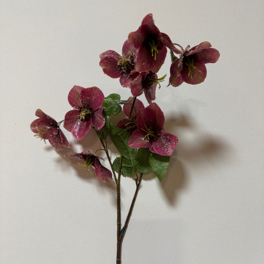 Christmas Rose - Pink - 10pcs