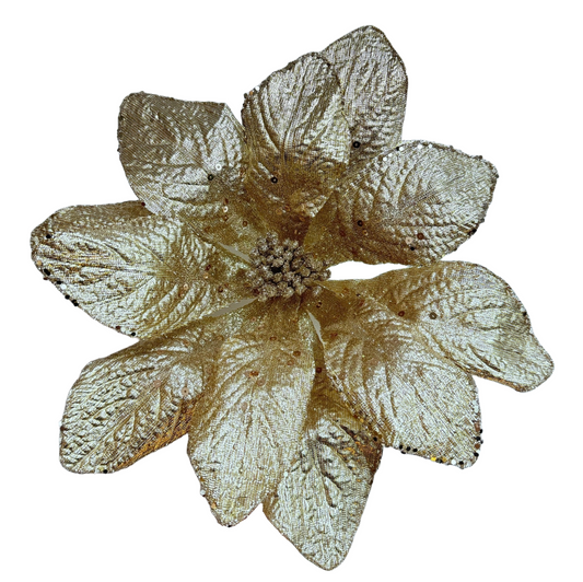 10Inch Champagne Metallic Amaryllis - Pack of 10