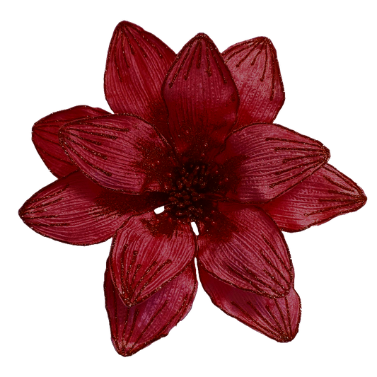 10Inch Red Amaryllis - Pack of 10