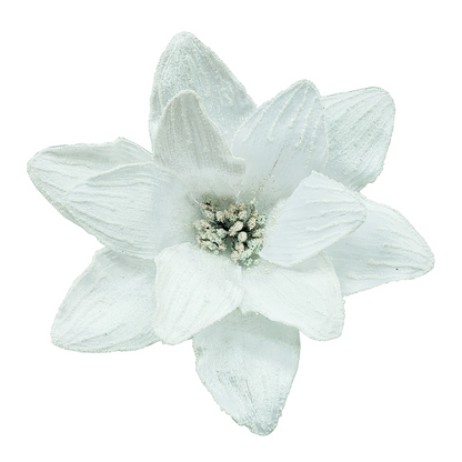 10Inch White Amaryllis - Pack of 10