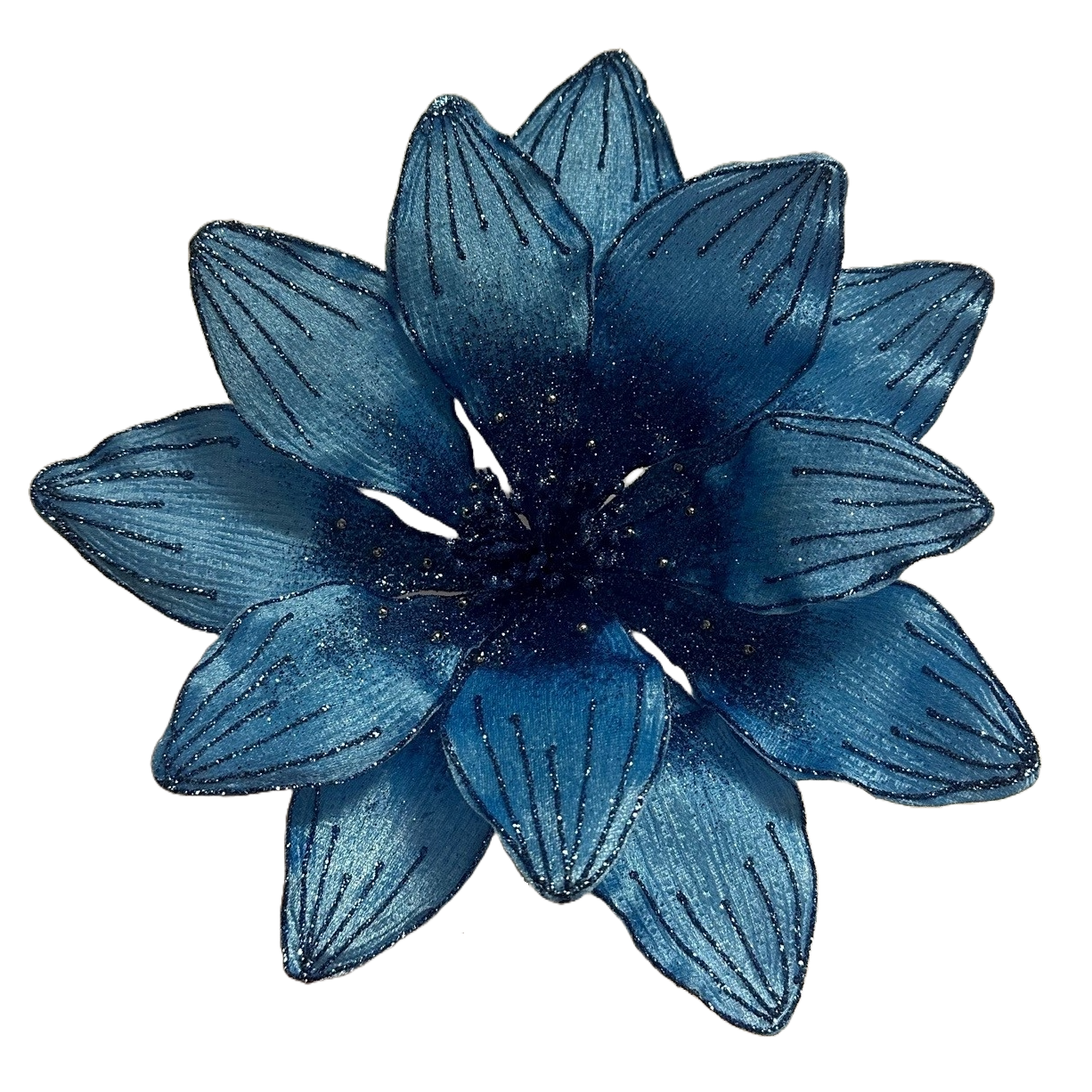 10Inch Blue Amaryllis - Pack of 10