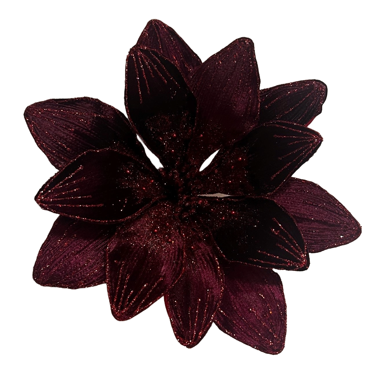 10Inch Dark Red Amaryllis - Pack of 10