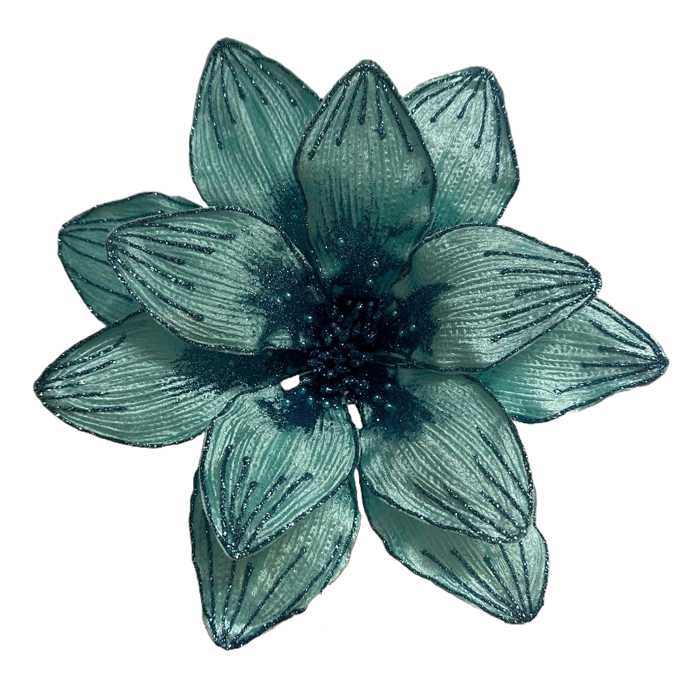 10Inch Turquoise Amaryllis - Pack of 10