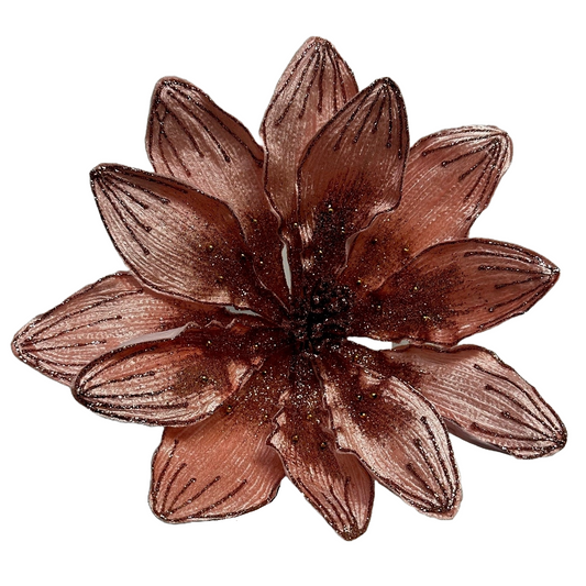 10Inch Rose Gold Amaryllis - Pack of 10