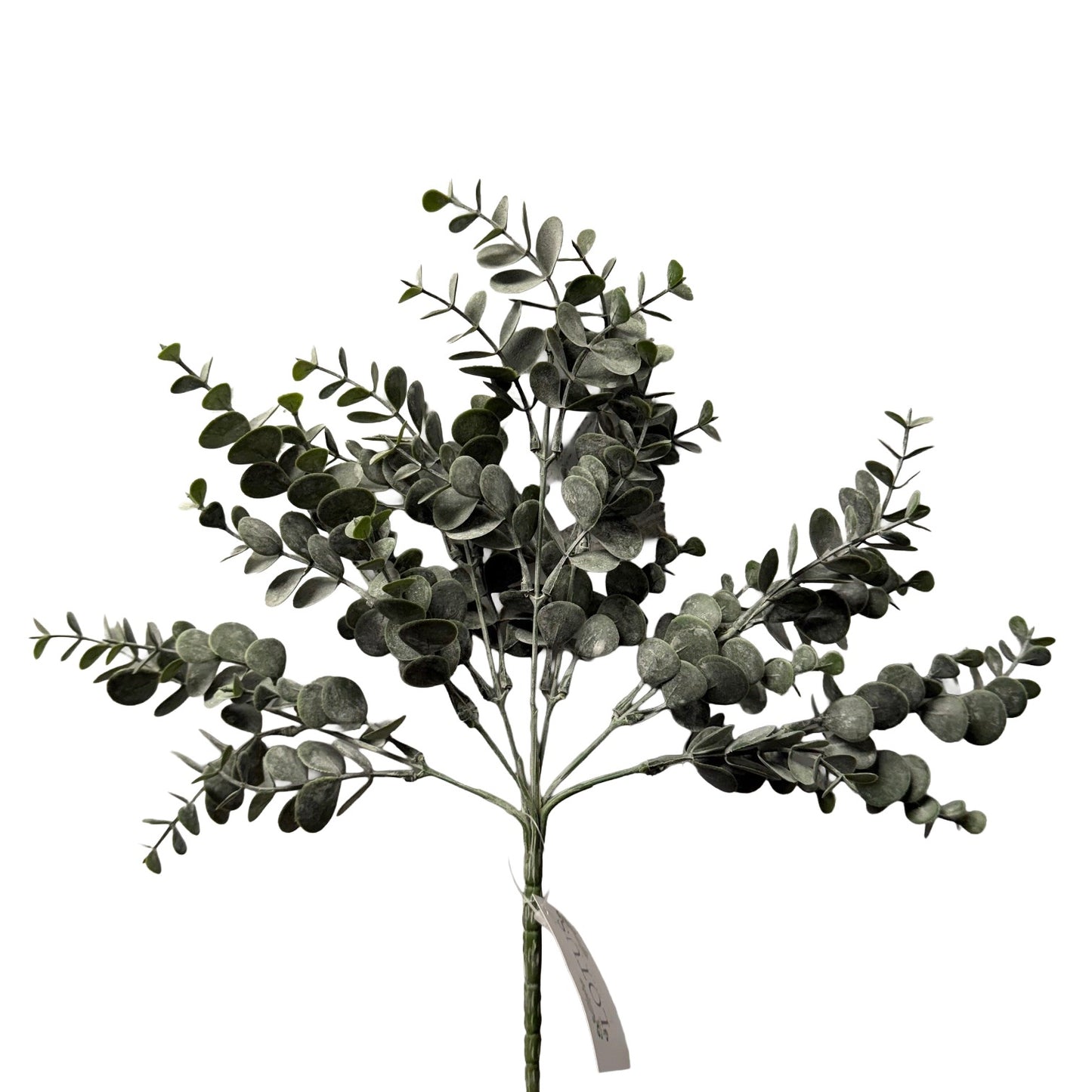 Eucalyptus Spray Green - 24pcs
