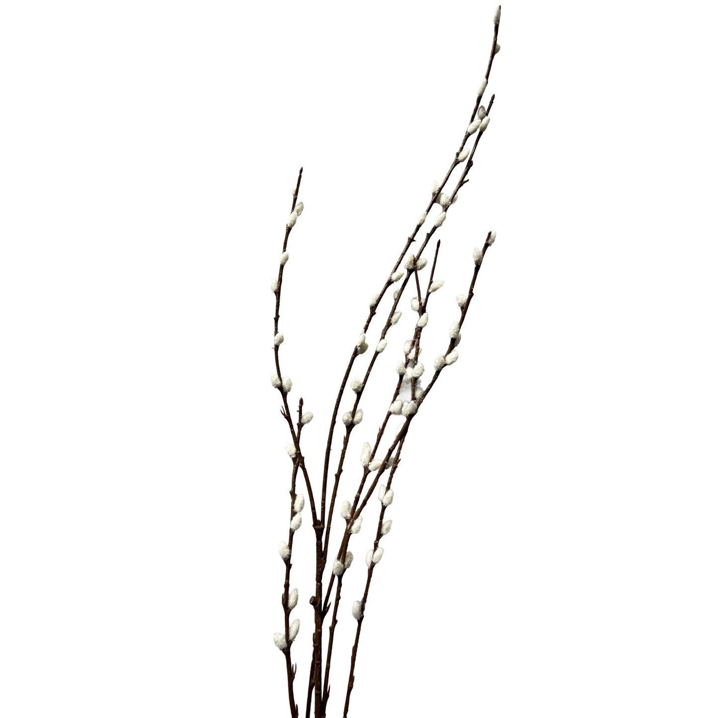 Pussy Willow White - 6pcs