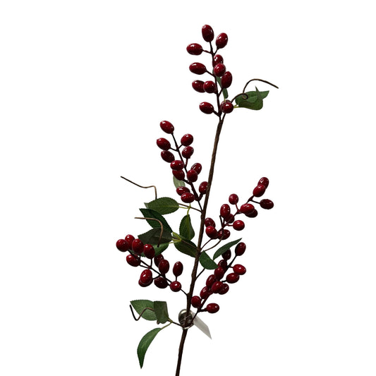 Red Rose Hips - 6pcs
